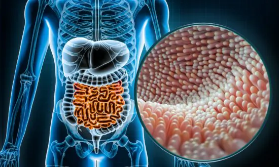 The Gut Microbiome That Helps You Live to Be 100