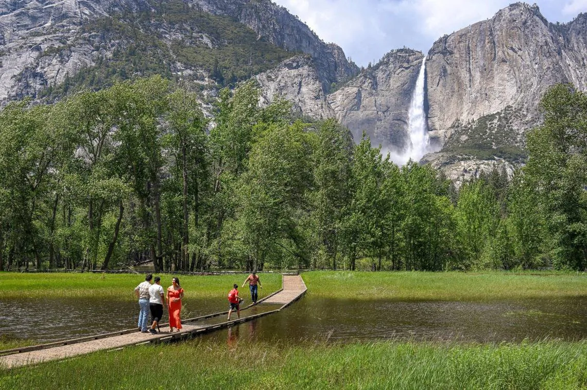 Yosemite National Park visitors contemplate crossing a flooded meadow boardwalk across from Upper Yosemite Falls in Yosemite Valley on Tuesday, June 14, 2023. (Craig Kohlruss/The Sacramento Bee/TNS)