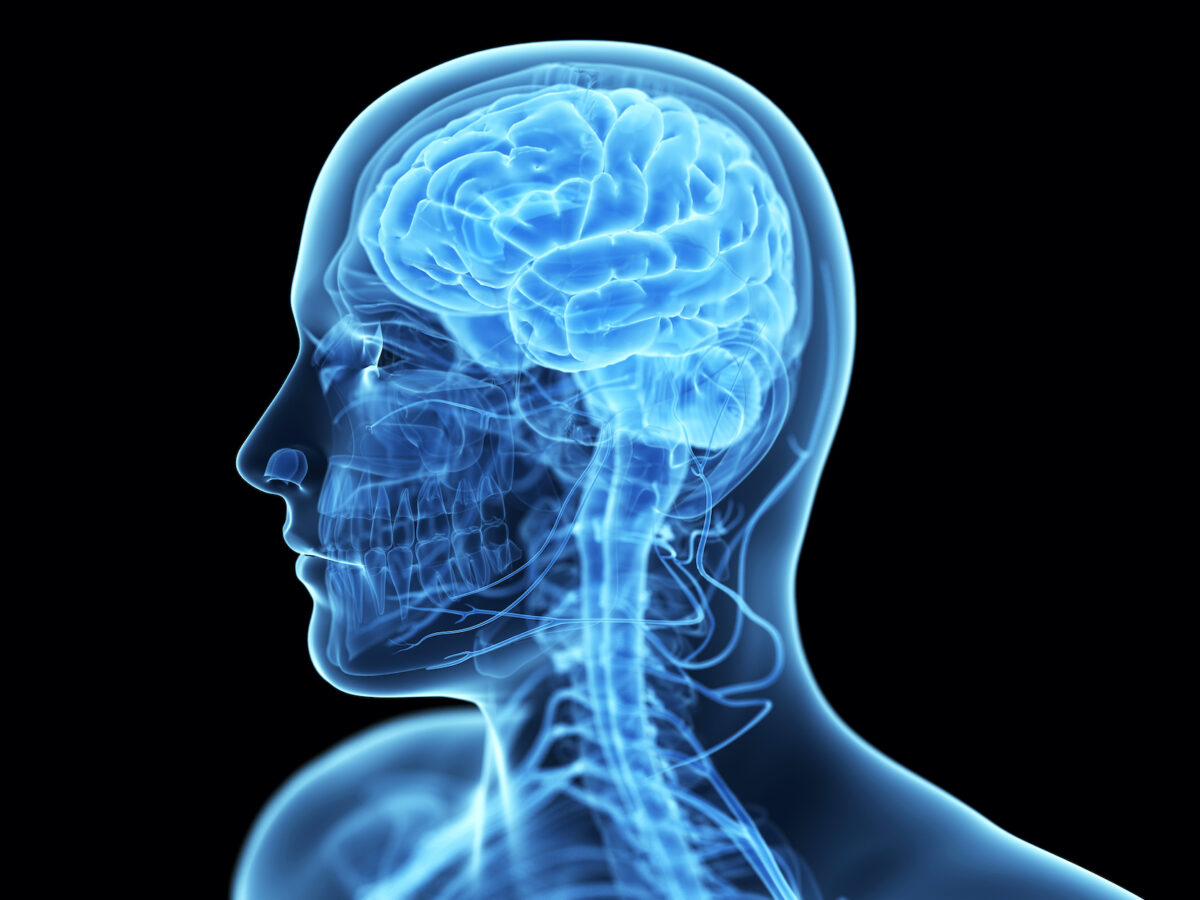 NextImg:Gout Linked to Increased Risk of Dementia and Parkinson's: Study