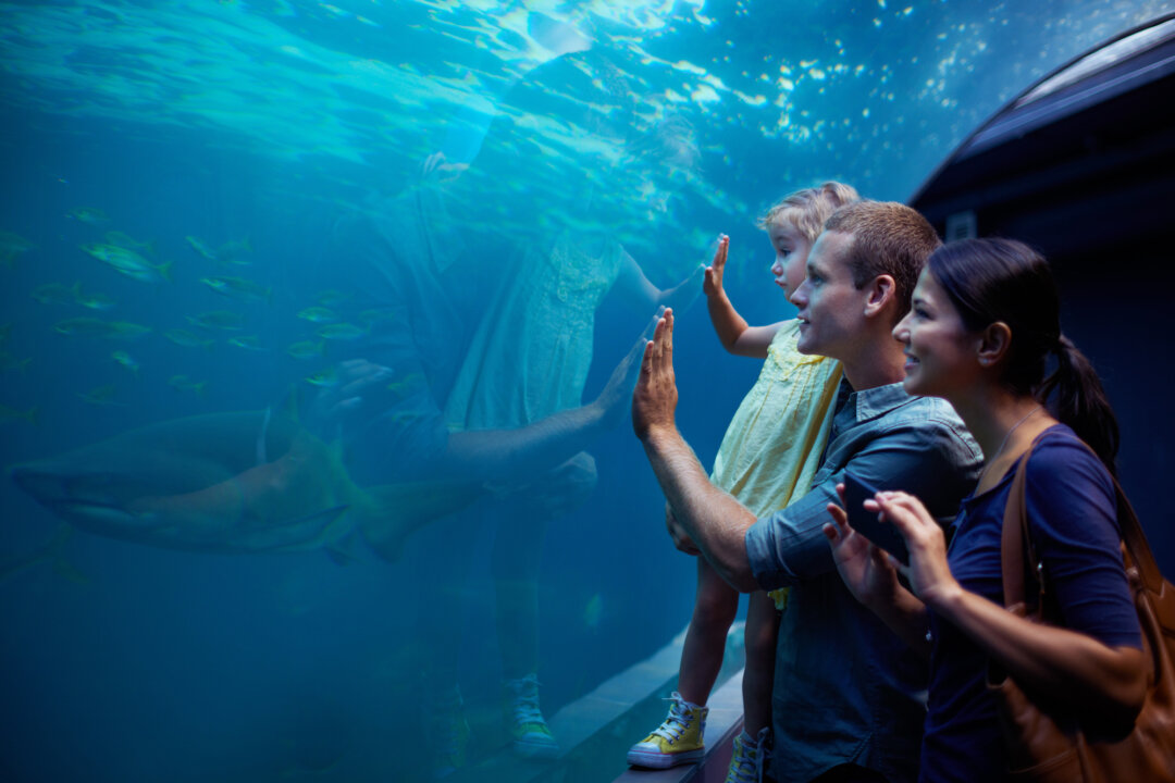 Having a go bag prepacked with all of the essentials makes day trips easier. (PeopleImages/Getty Images)