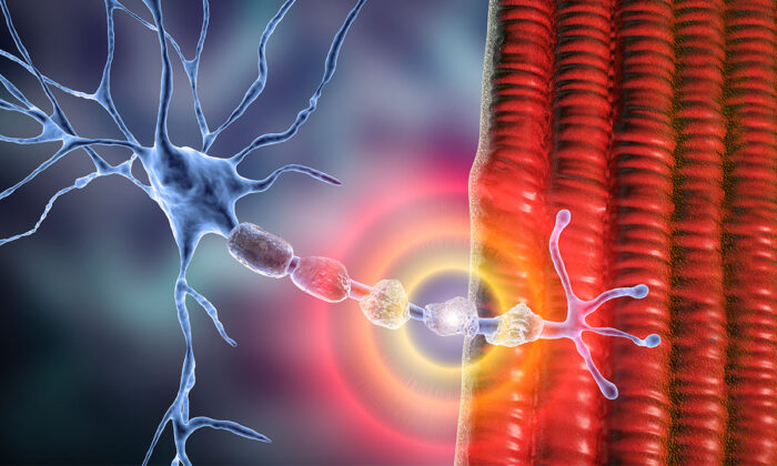 After Mass Vaccination, Some Seizures, Alzheimer's, and Transverse Myelitis Cases Become Different, as Observed by Doctors