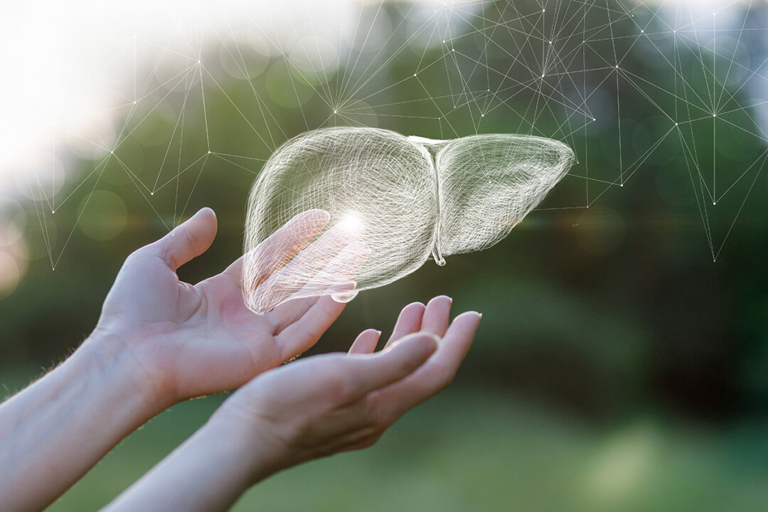 Some people's daily habits have imperceptibly played a role in maintaining or damaging the liver. (Natali_Mis/Shutterstock)