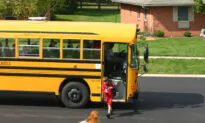 Commentary: The Nature of a Summer Vacation