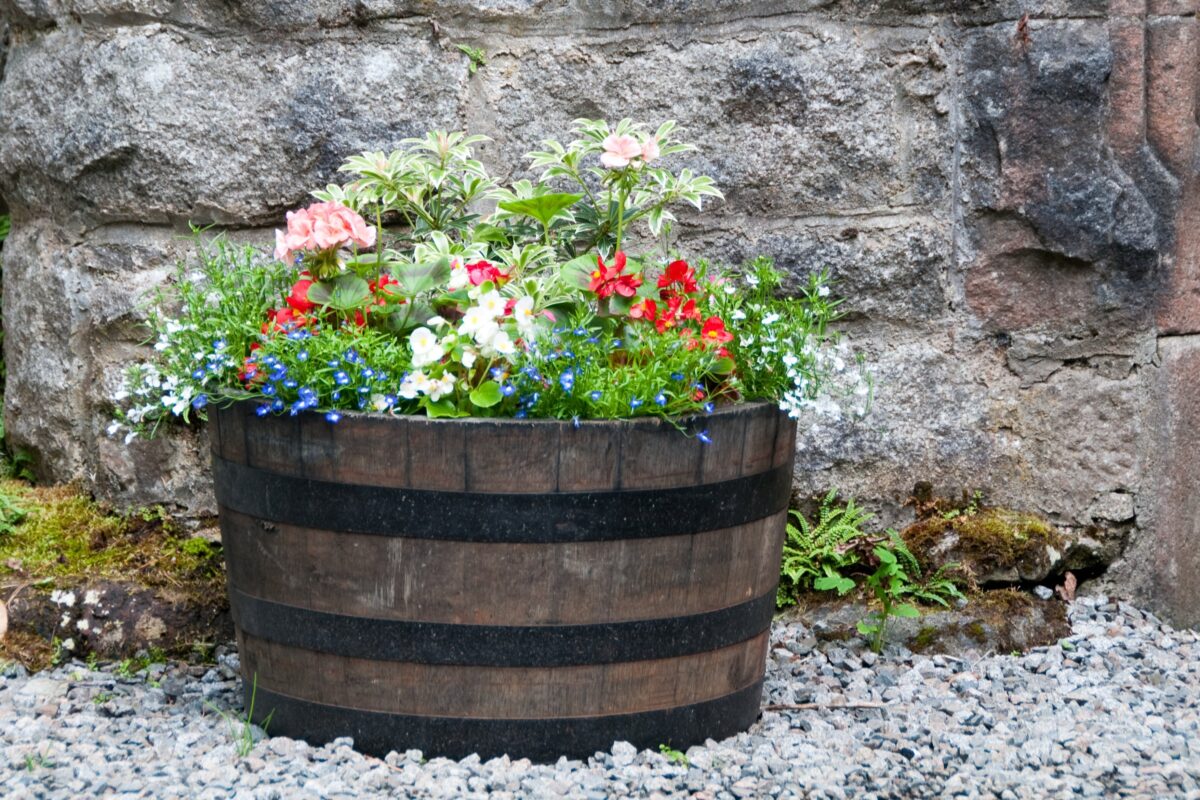 NextImg:Waterlogged Barrel Planter