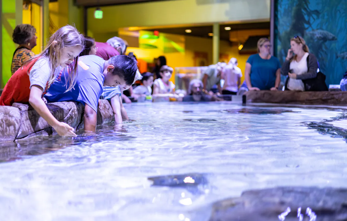 Children and families enjoy new ocean-themed exhibits at Discovery Cube, a children's educational museum in Santa Ana, Calif., on June 22, 2023. (John Fredricks/The Epoch Times)