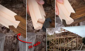 Japanese Carpenters Discover Jaw-Dropping Wood Joints in 95-Year-Old House Built With No Nails