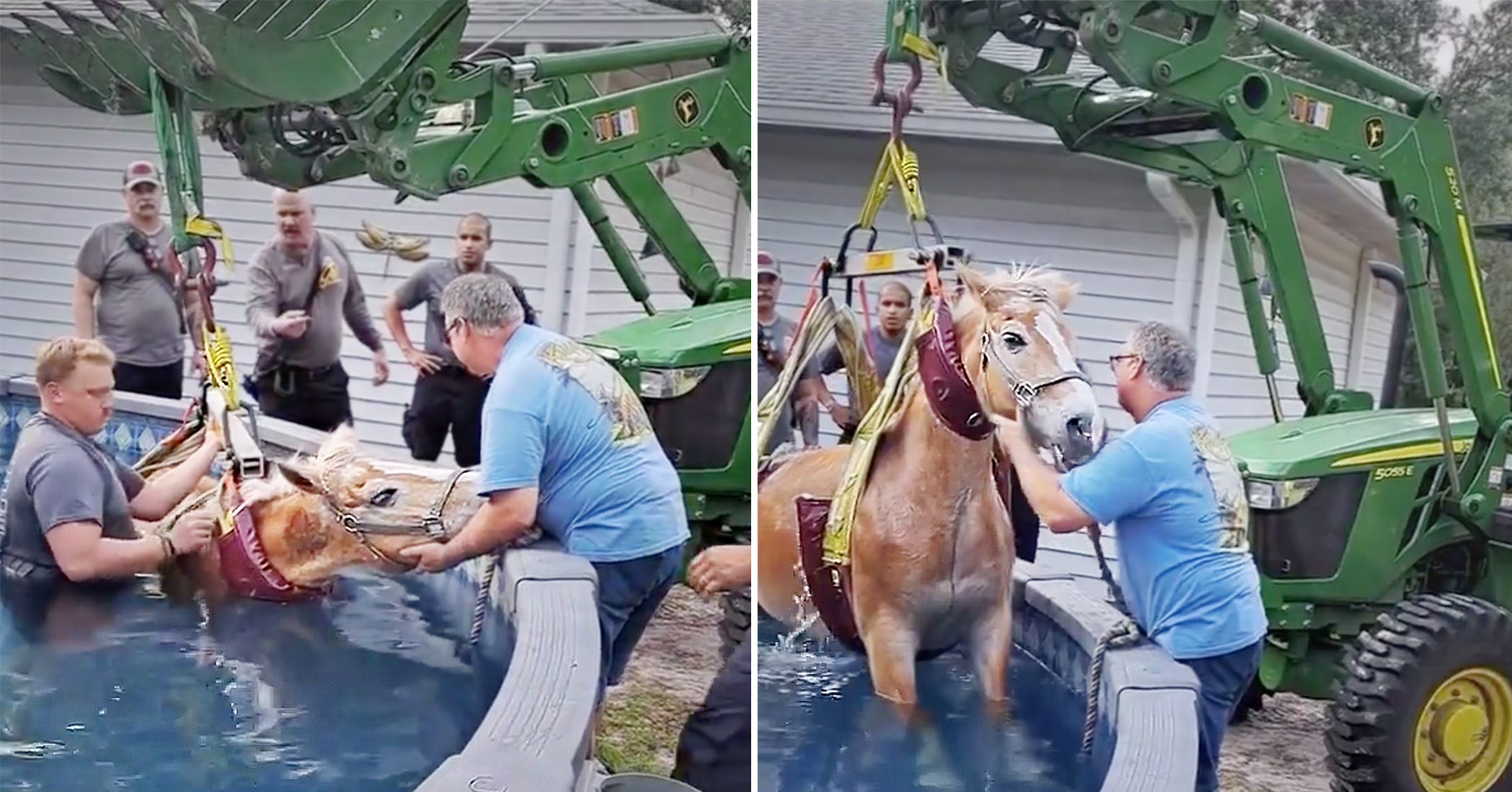 NextImg:VIDEO: Fire rescuers get call of panicked horse trapped in swimming pool—here's what happed next