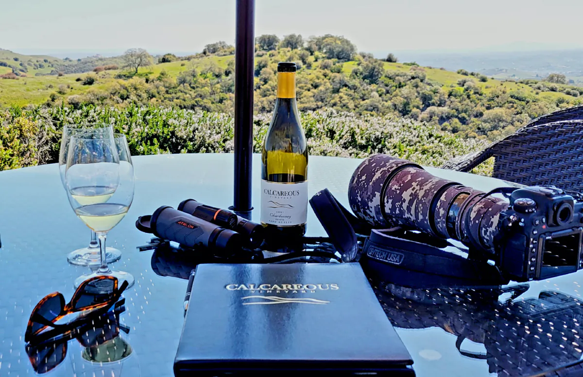 Bird-watchers take a break to taste some wine at the Calcareous Vineyards in Paso Robles, California. (Photo courtesy of Jim Farber)