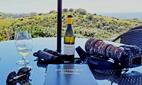 Days of Wine and Warblers in Paso Robles