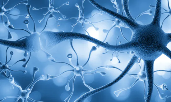 Astounding Feats of the Brain in Your Gut