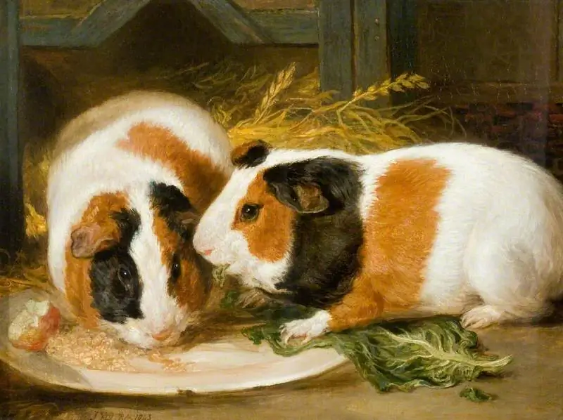 Guinea pigs cause a big problem for the Interurban Express Company in Ellis Parker Butler's story, "Pigs Is Pigs." Double portrait of Henrietta Ward’s Pet Guinea Pig," 1843, by James Ward. (Public Domain)