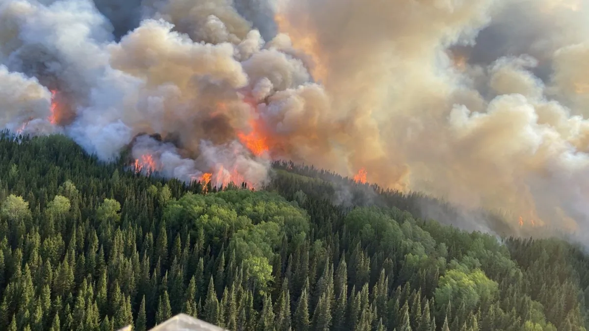 A wildfire burns in a forest near the town of Cochrane, Ont., in a June 6, 2023, handout photo. (The Canadian Press/HO-Ministry of Natural Resources and Forestry)