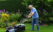 Love Your Lawn Without Letting It Take Over Your Life