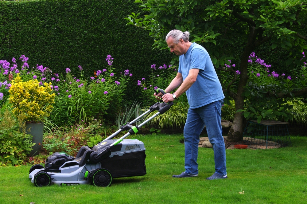 Love Your Lawn Without Letting It Take Over Your Life