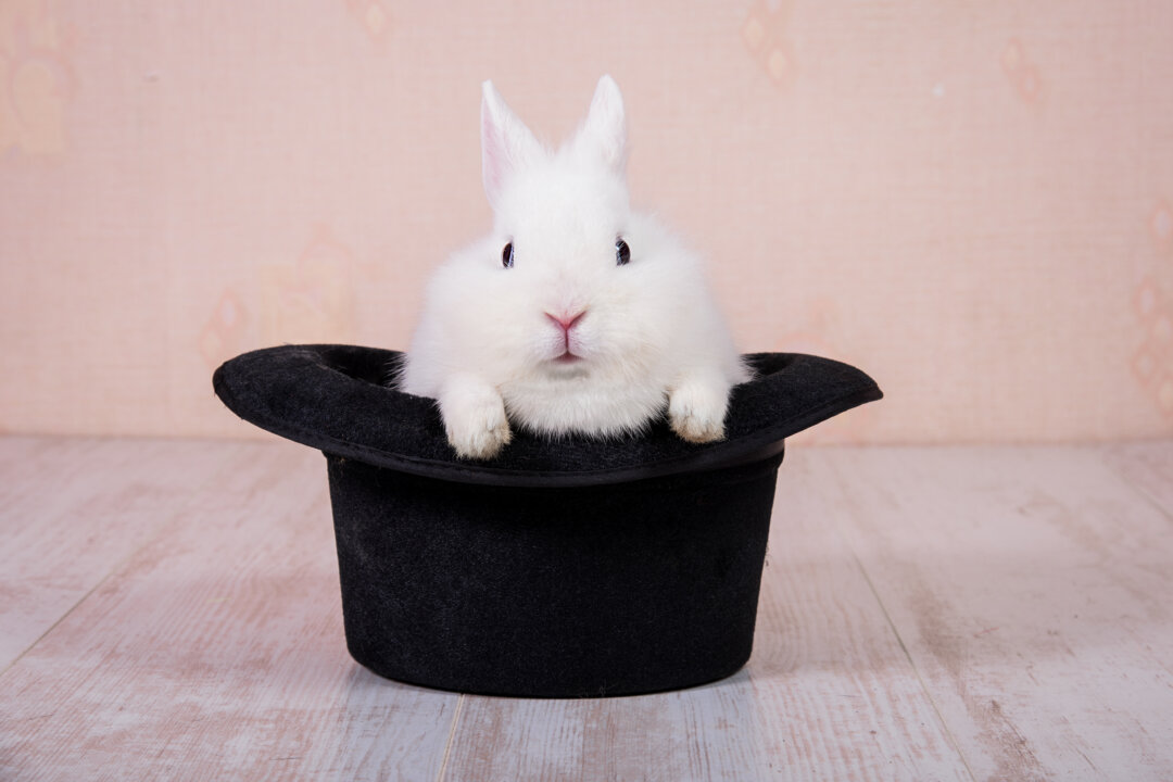 (Rita_Kochmarjova/Shutterstock)