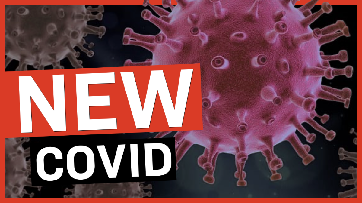 New COVID Variant Has Unusual Symptom; WHO Launches Global Vax Passports | Facts Matter
