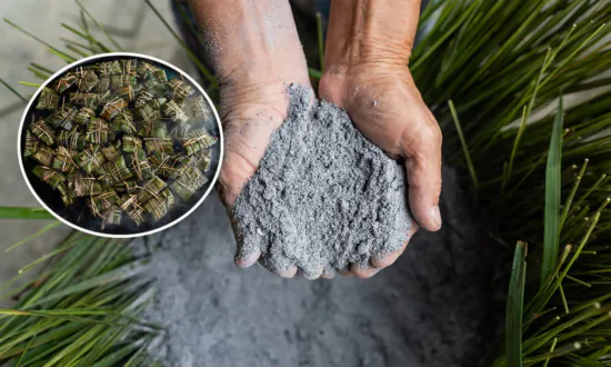 Authentic Hakka Kansui-Zong or Lye Dumplings With Orchard Ashes