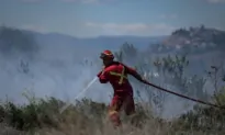 All 2023 Vancouver Island Wildfires Were Human-Caused: BC Fire Centre