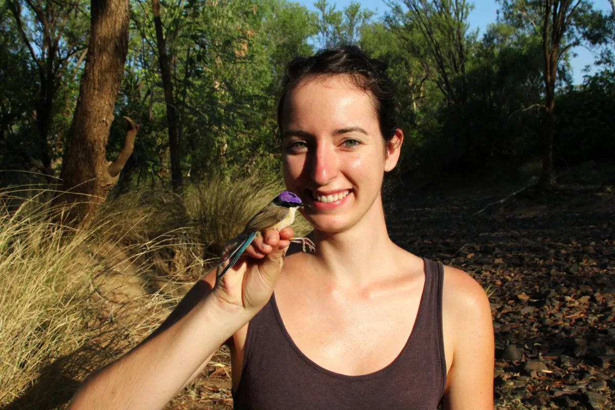 Researcher Niki with a purple-crowned fairywren male in full breeding plumage. (Niki Teunissen/Australian Wildlife Conservancy)