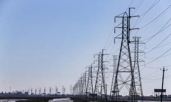 Texas Supreme Court Rules ERCOT is Immune From Lawsuits Over 2021 Deadly Winter Storm