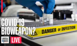 COVID-19 Was a CCP Bioweapon?; Election ‘Smurfs’ Traced to China | Live With Josh