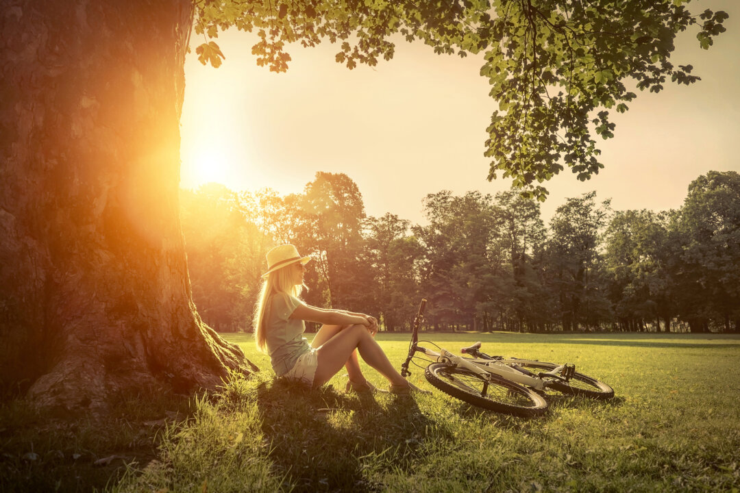 Natural light is a natural component of health and well-being.