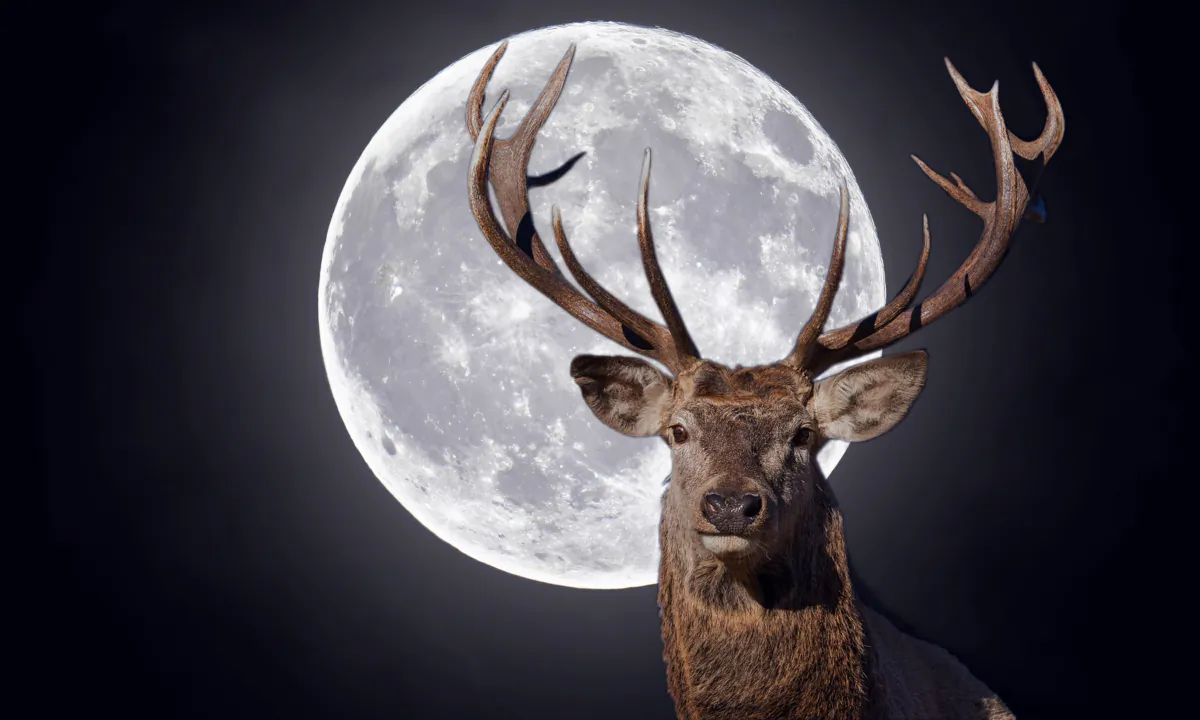 First Super Moon of 2023 Will Be Full ‘Buck’ Moon Around Summer ...