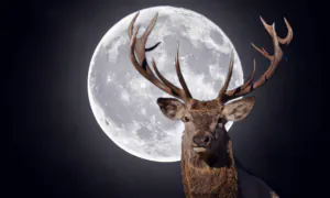 First Super Moon of 2023 Will Be Full ‘Buck’ Moon Around Summer Solstice—What You Need to Know
