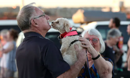 Victoria to Conduct Nations’ First Pet Census in Early July