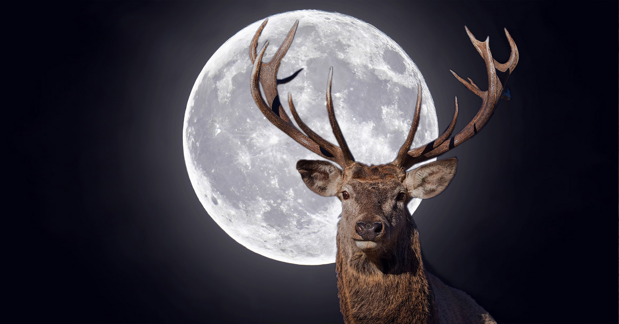 NextImg:First Super Moon of 2023 Will Be Full 'Buck' Moon Around Summer Solstice—What You Need to Know