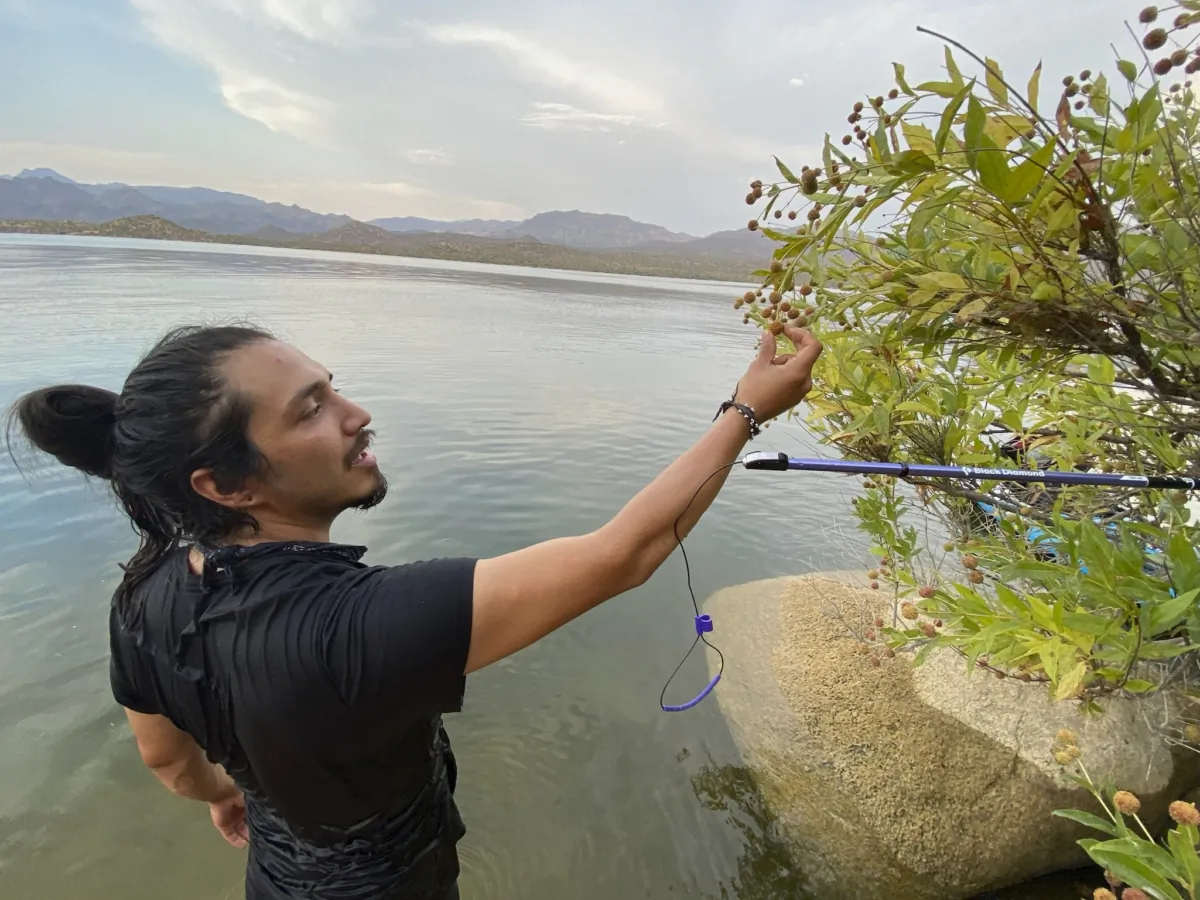 Gabriel Trujillo conducts field research for his doctorate in Arizona.   (Roxanne Cruz-de Hoyos/AP Photo)