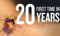 These Are the States Affected by Malaria-Carrying Mosquitoes