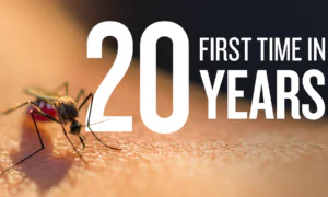 These Are the States Affected by Malaria-Carrying Mosquitoes