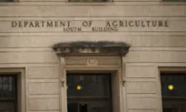 USDA Unveils $375M Funding for Rural Clean Energy Efforts
