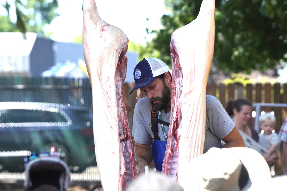 Traditional livestock harvester Brandon Sheard demonstrates the proper way to butcher a hog during The Modern Homesteading Conference in Coeur D'Alene, Idaho, on June 30, 2023. (Allan Stein/The Epoch Times)