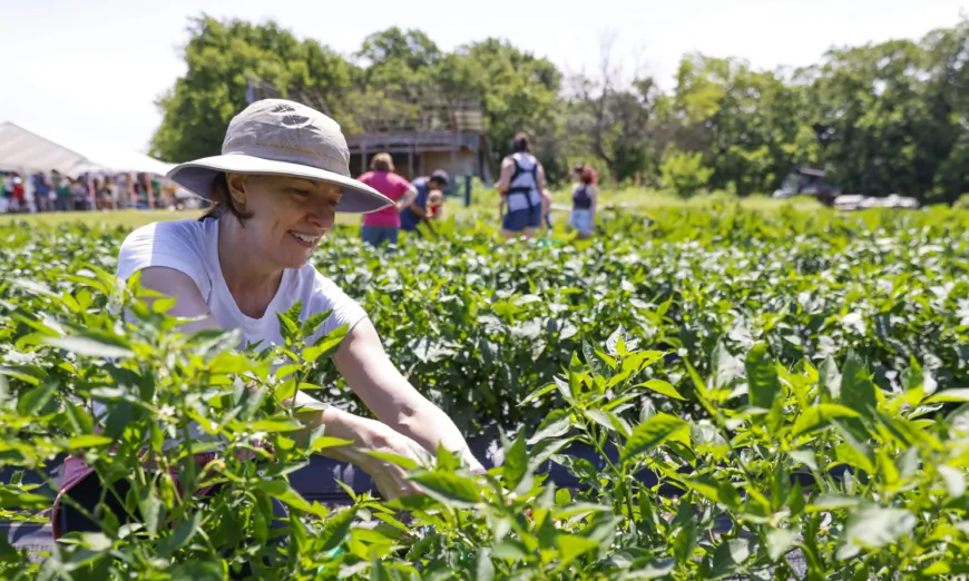 Farmers Market or Agritourism? One Is ‘Like Buying Local on Steroids,’ Farmer Says