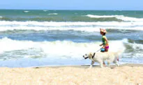 How to Keep You and Your Pets Safe This Summer