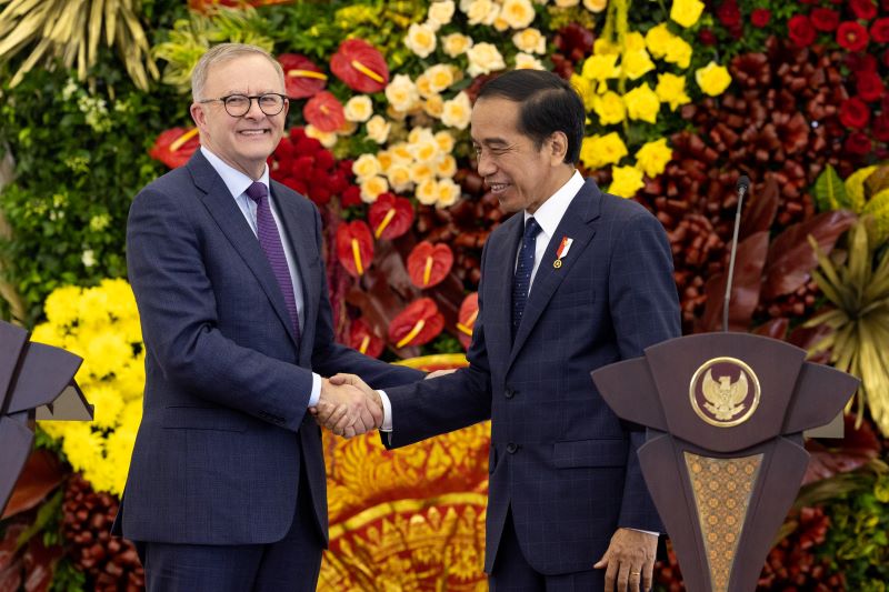 Trade, Visas and Tigers on Agenda for Widodo Visit