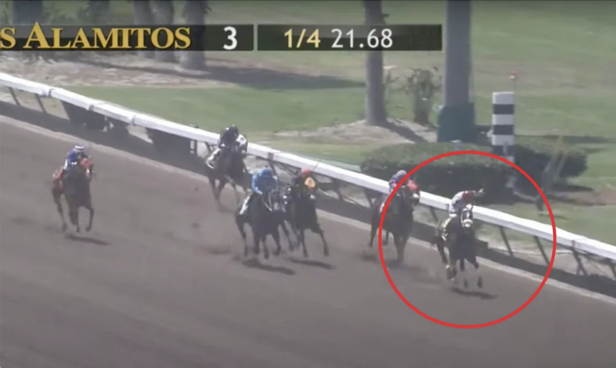 Moments before Twentyseventrouts fatal fall on the race tracks in Los Alamitos, Calif., on July 3, 2023. (Horse Racing Mishaps and Fatalities/Screenshot via The Epoch Times)