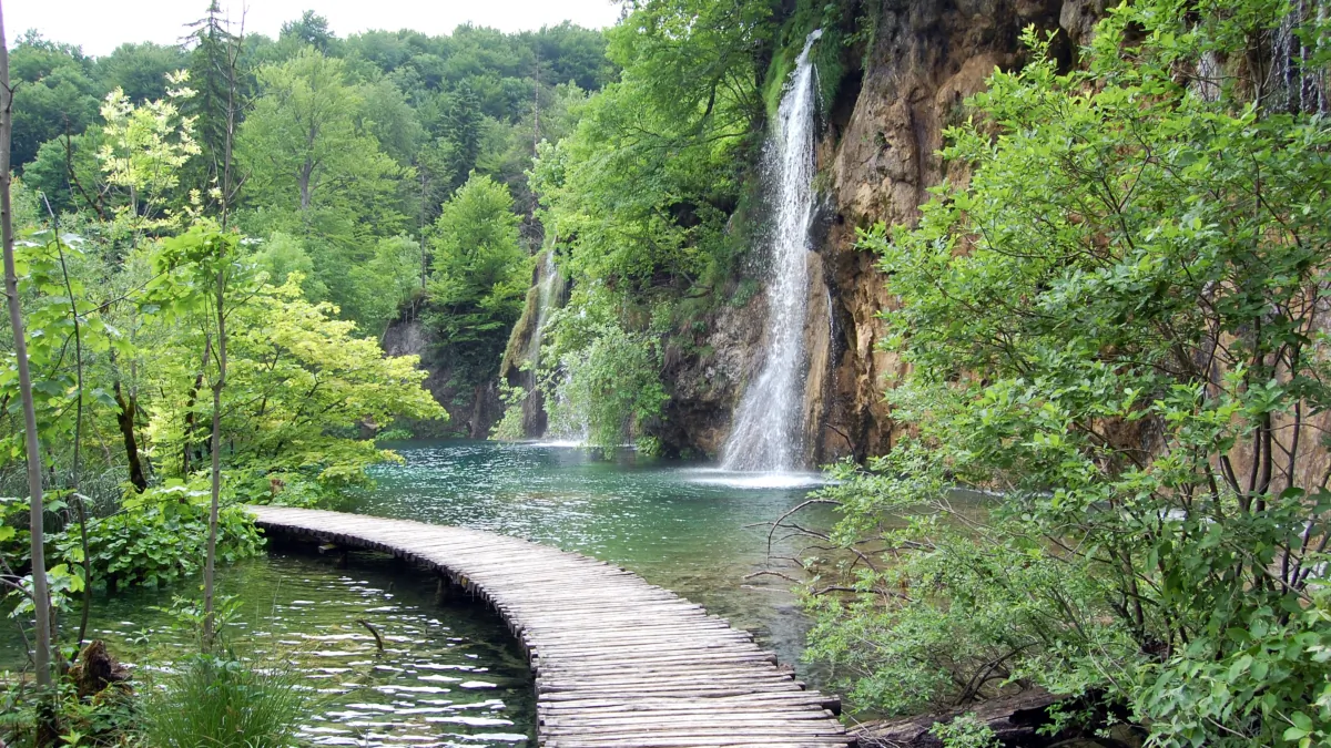 Plitvice became Croatia's first national park in 1949, and it continues to dazzle visitors today with its accessible walkways and otherworldly vistas.
