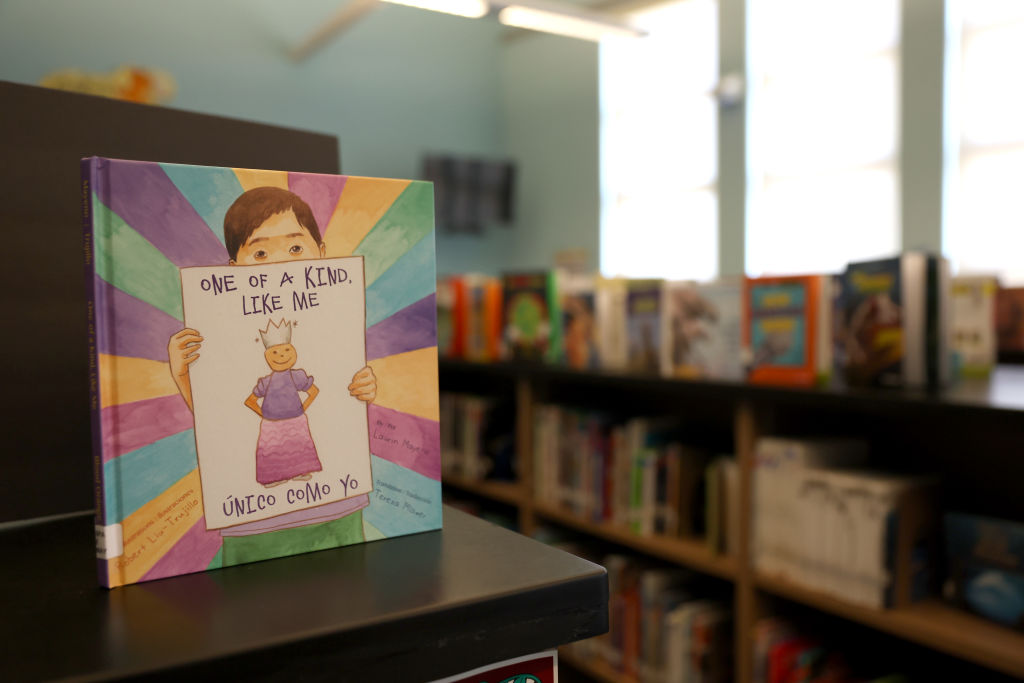 NextImg:Biden Administration Targeting Schools That Removed Sexually Explicit Books: Conservatives