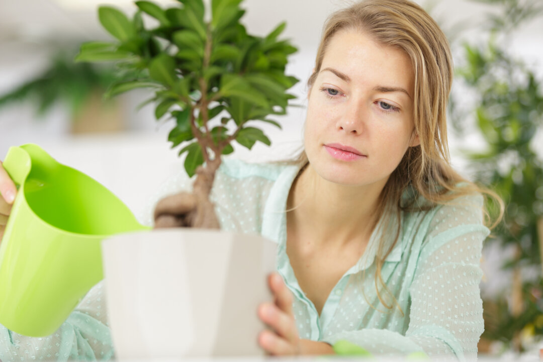 (ALPA PROD/Shutterstock)