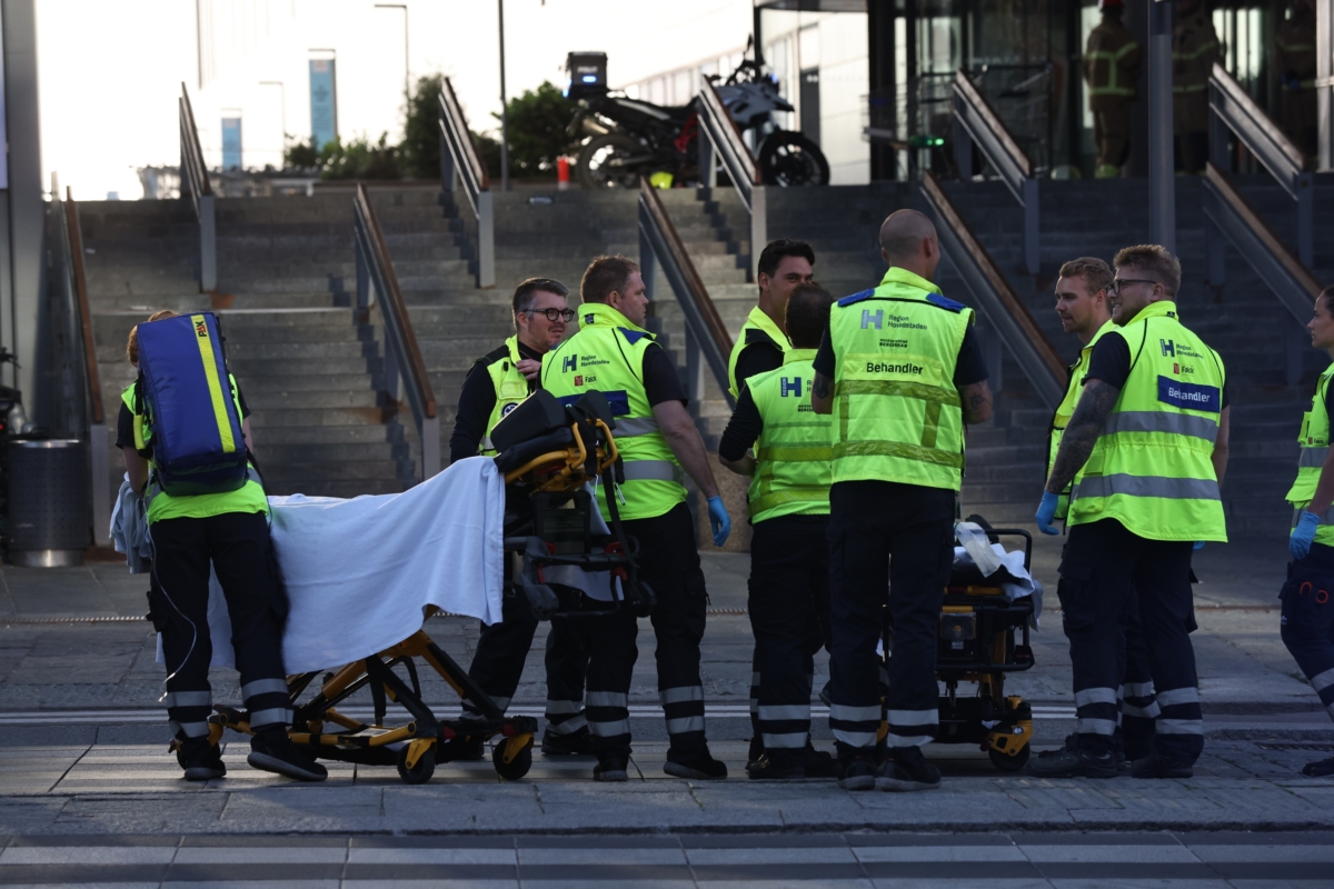 NextImg:Gunman in Danish Mall Shooting That Killed 3 People Sentenced to Mental Health Facility