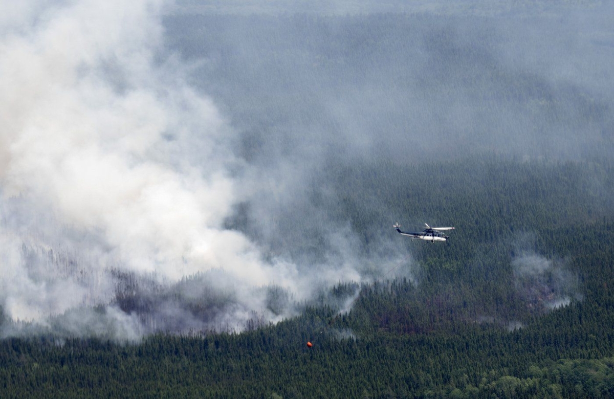 NextImg:Quebec Offers $50 Million to Businesses Affected by Unprecedented Wildfire Season