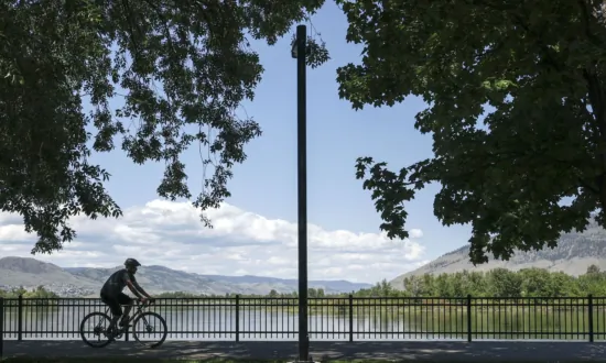 Thefts of Bicycles 429 Percent Higher in Summer Than Winter, Says Insurance Company