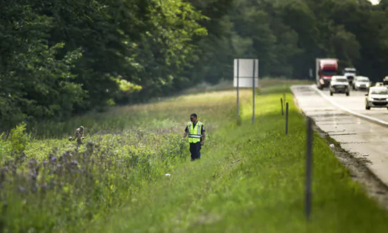 Missing 2-Year-Old Girl Is Found Dead in Detroit, After Her Disappearance Sparked Massive Search