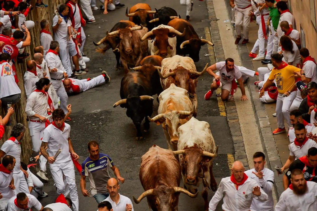 La Palmosilla's fighting bulls run among revellers during the first day of the running of the bulls during the San Fermin fiestas in Pamplona, Spain, on July 7, 2023. (Alvaro Barrientos/AP Photo)