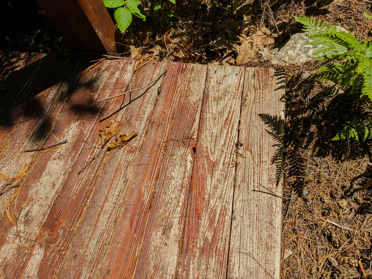 Just three years ago this cedar decking looked like an exquisite piece of fine furniture. It had just been sealed with a top-quality outdoor sealer. Look at how it has peeled. (Tim Carter/Tribune Content Agency/TNS)