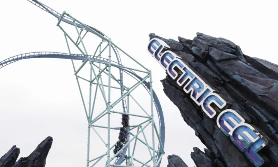 SeaWorld’s Electric Eel Roller Coaster Closed After Injury