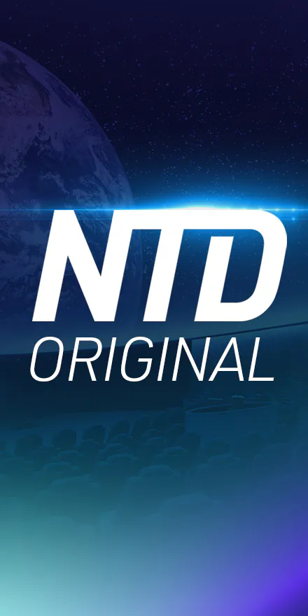 NTD Original